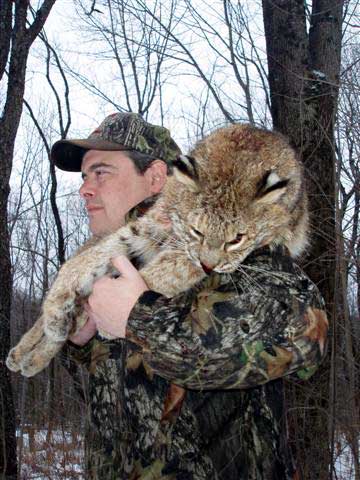 A Successful Bobcat Hunt