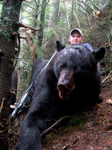 Huge Black Bear taken with Hounds