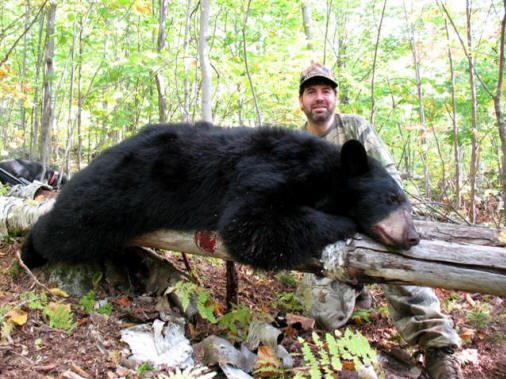 Paul Takes a Nice Bear with Hounds